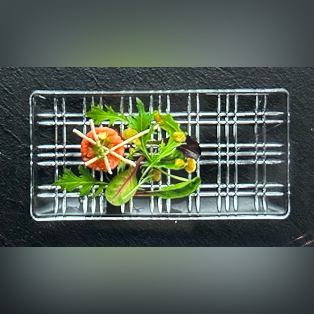 Nachtmann Crystal Serving Platter
